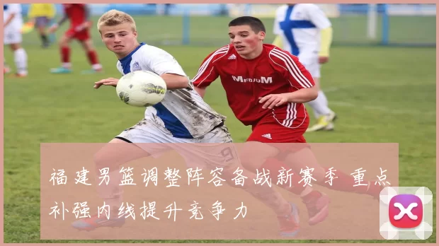 福建男篮调整阵容备战新赛季 重点补强内线提升竞争力